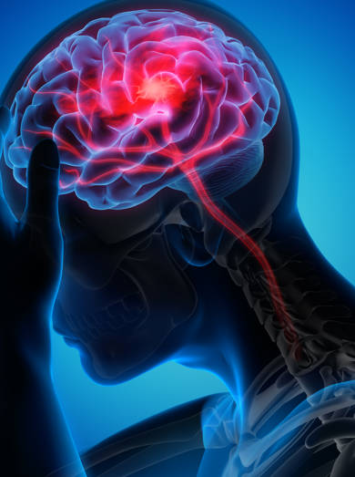 Shutterstock 1423084877